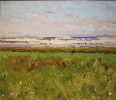 LOOKING TOWARDS INISH BOFFIN by Henry Healy  at deVeres Auctions