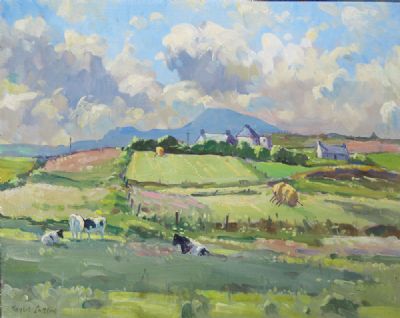 MIDSUMMER CO. DONEGAL by Robert Taylor Carson sold for €1,000 at deVeres Auctions
