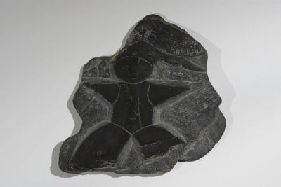 Slate by Barbara Warren  at deVeres Auctions