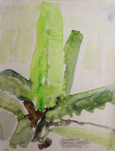 BANANA TREE GLASNEVIN BOTANICS by Barrie Cooke  at deVeres Auctions