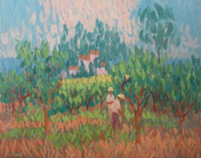 IN A CITRUS ORCHARD, NERJA by Desmond Carrick  at deVeres Auctions