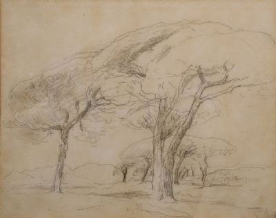 SKETCH OF TREES by Nathaniel Hone  at deVeres Auctions