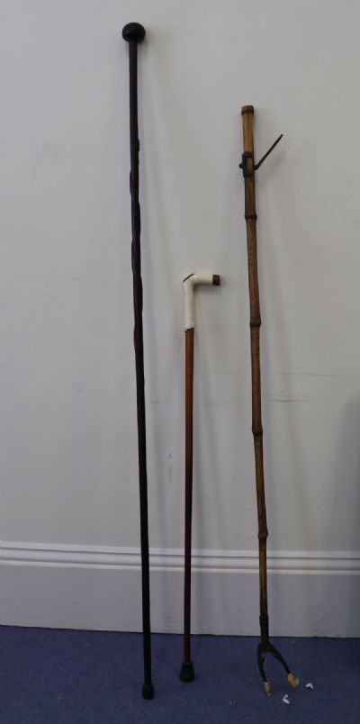 114 by A COLLECTION OF WALKING STICKS  at deVeres Auctions