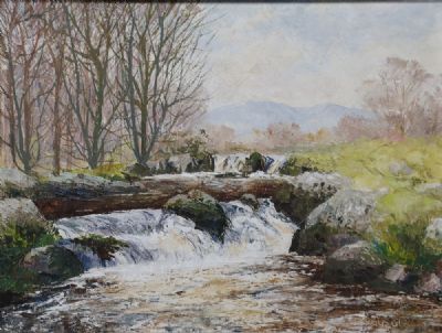 THE LIFFEY AT BALLINNABROCKY, CO. WICKLOW by Fergus O'Ryan sold for €300 at deVeres Auctions