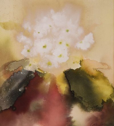 WHITE PRIMULA by Caroline Bailey  at deVeres Auctions