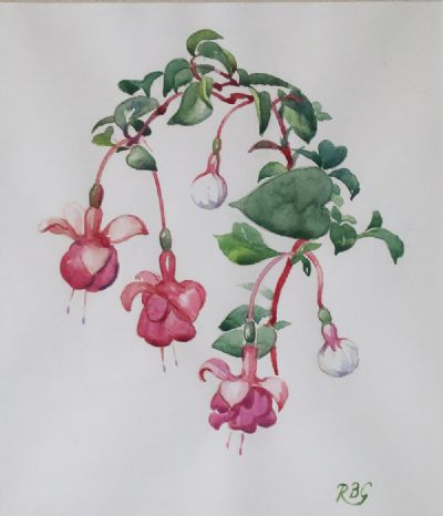 FUSCHIA by Rosaleen Brigid Ganly  at deVeres Auctions