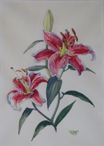 STARGAZER LILY by Rosaleen Brigid Ganly  at deVeres Auctions