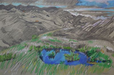 WILD LILY PONDS II by Jacqueline Stanley  at deVeres Auctions