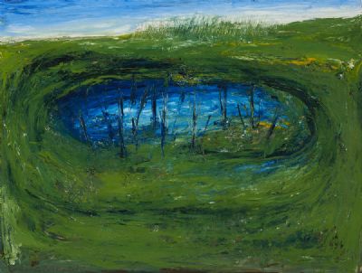 BOGLAND POOL by Sean McSweeney  at deVeres Auctions