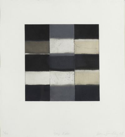 GREY ROBE by Sean Scully  at deVeres Auctions