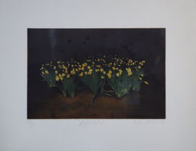 DAFFODILS by Colin Martin  at deVeres Auctions