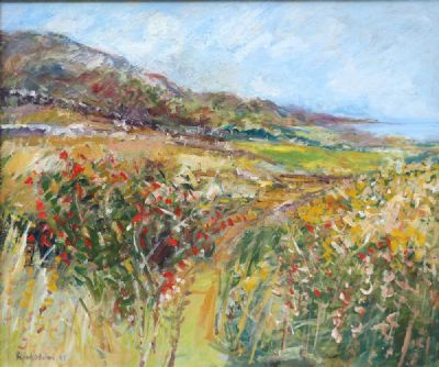 SUMMER FIELDS. DRUMNACRAIG, FANAD, CO. DONEGAL by Robert Bottom  at deVeres Auctions