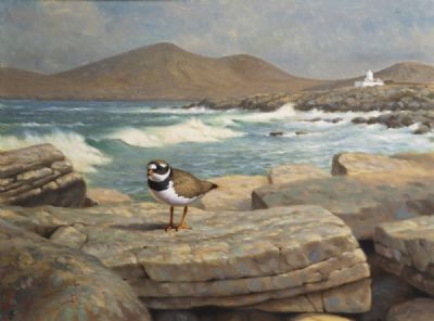 PLOVER ON THE SHORE by Julian Friers  at deVeres Auctions