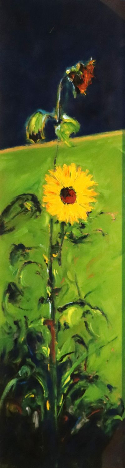 SUNFLOWER by Michael Flaherty  at deVeres Auctions