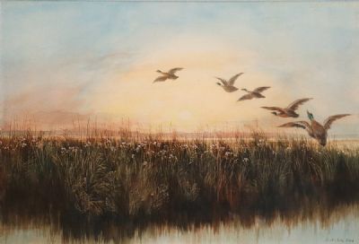 DUCKS IN FLIGHT by Andrew Nicoll  at deVeres Auctions